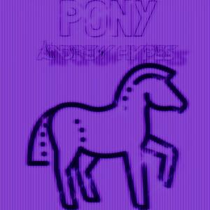 Pony