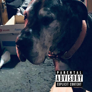 Fantasy (feat. Playboi XO) (Explicit)