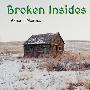 Broken Insides