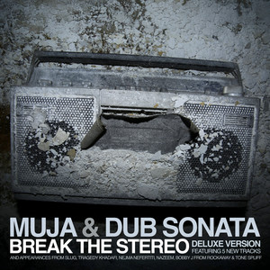 Break The Stereo (Deluxe) [Explicit]