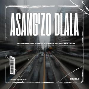 Asang'Zodlala (feat. Mdizo & Waylor)