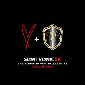 The House Immortal Sessions Volume 2