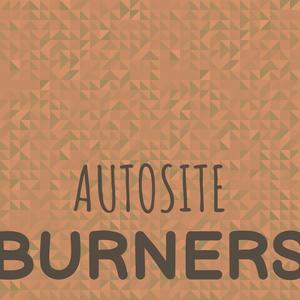 Autosite Burners