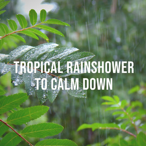 Tropical Rainshower to Calm Down