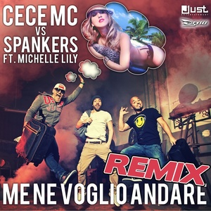 Me ne voglio andare (Paolo Ortelli & Luke Degree Remix)