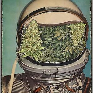 Mary Jane (feat. lil Shid) (Explicit)