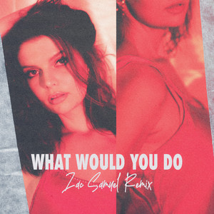 What Would You Do (Zac Samuel Remix|Radio Edit)