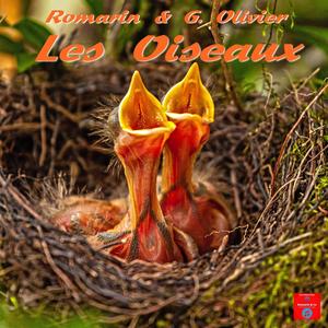 Les Oiseaux (feat. Dj Romarin & Georges Olivier)