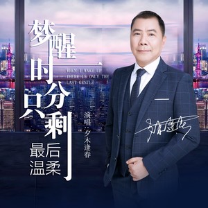 梦醒时分只剩最后温柔 (DJ何鹏版伴奏)