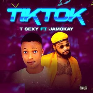 Tiktok (feat. Jamokay) [Explicit]