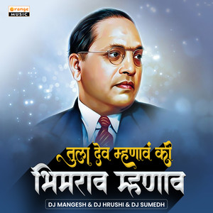 Tula Dev Mhanav Ki Bhimrao Mhanav (Dj Remix)