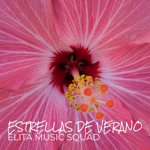 Estrellas De Verano