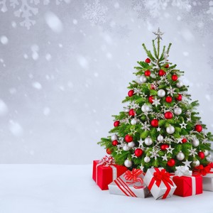 Shining Christmas Morning 1