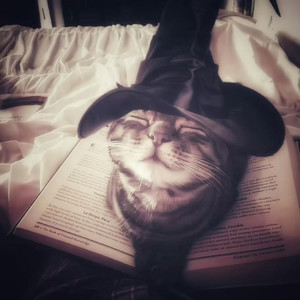 让我一次爱个够（给你我所有）