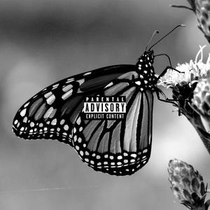 Not From Franklin (Explicit)