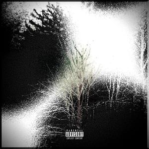 miss my brudda (Explicit)