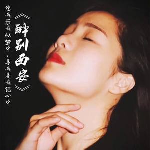 醉别西安