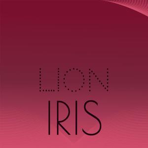 Lion Iris