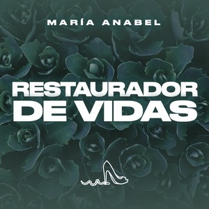 Restaurador de Vidas
