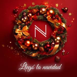 Llegó la navidad