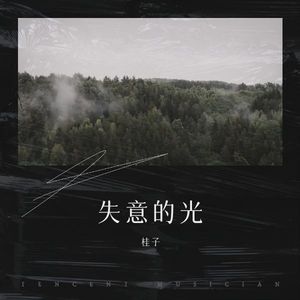失意的光