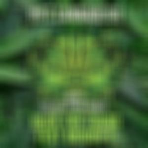 Hitz Cannabliss (feat. Muddy G) (Explicit)