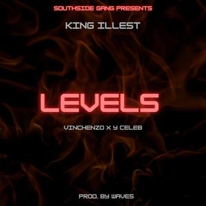 Level (feat. Y Celeb & Vinchenzo) [Explicit]