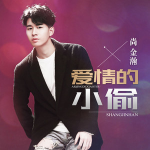 爱情的小偷