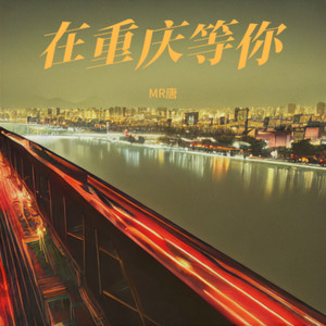 MR唐 - 在重庆等你