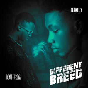 Different breed (feat. Olatop Ekula) [Explicit]