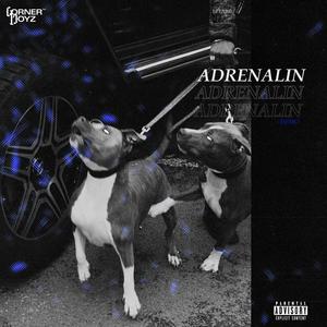 ADRENALIN (Explicit)