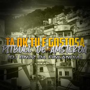 TA OK TU É GOSTOSA x PITIBULL DE AMSTERDÃ (DJ BN22 Remix) [Explicit]