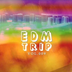 EDM Trip, Vol. 009 (Original Mix)