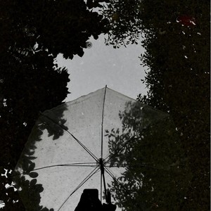 anyhow(不死之身)