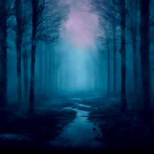 Insomnia