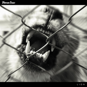 Lion (Extended Version)