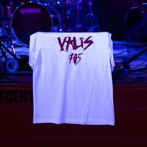 VALIS FOREVER (feat. Murph, Zain Cook, Fromharriswithlove & HXMESWEETHXME) (Explicit)