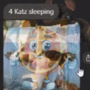 4 KATZ SLEEPING (Explicit)