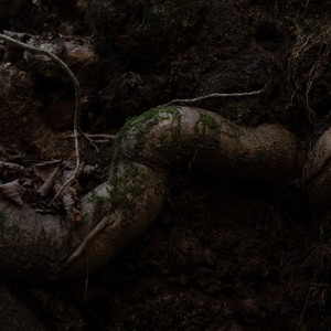 Prologue - The Other Side