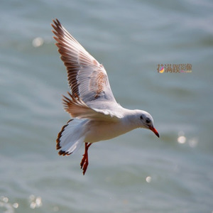 建一个幸福的家