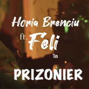 Prizonier(feat. Feli)