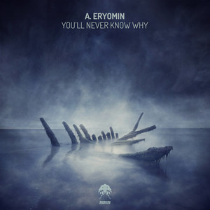 You'll Never Know Why (Dennis Franchi Remix)
