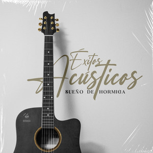 Quién Es Como Tú (Acoustic)