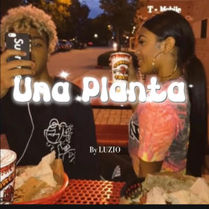 Una planta (Explicit)