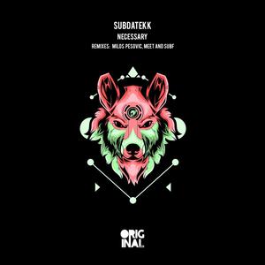 Necessary (Original Mix)