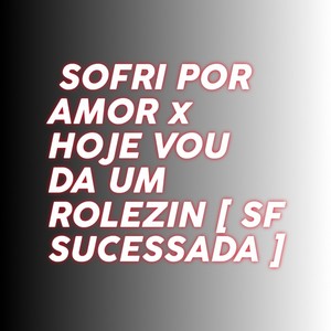 Sofri por Amor X Hoje Vou da um Rolezin (Explicit)