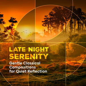 Late Night Serenity - Gentle Classical Compositions for Quiet Reflection - Oboe Concerto in C major, Hob.VIIg:C1: 2. Andante