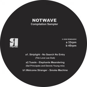 Elephants Meandering (Sal Principato and Dennis Young Mix)