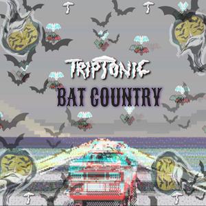 BAT COUNTRY (Explicit)