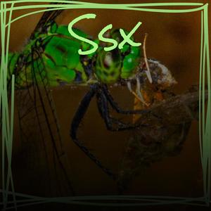 Ssx